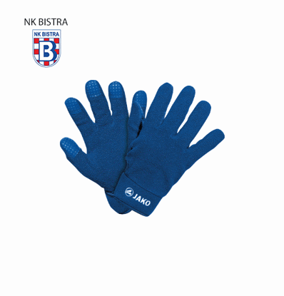 Slika NK BISTRA rukavice