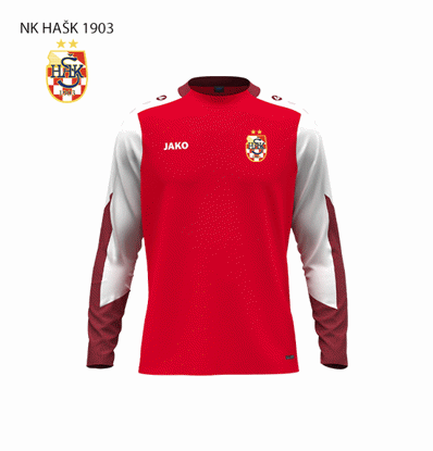 Slika NK HAŠK 1903 DYNAMIC majica D/R