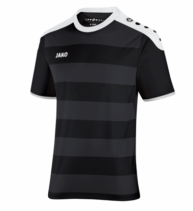 Slika CELTIC dres KR