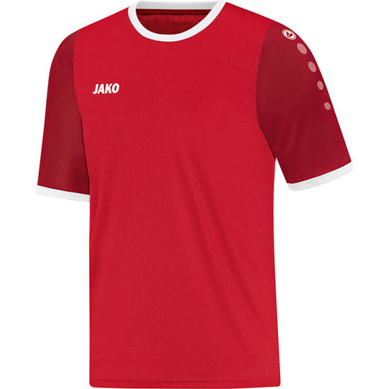 Slika LEEDS dres KR